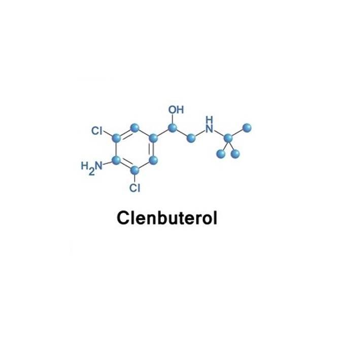 Clenbuterol 